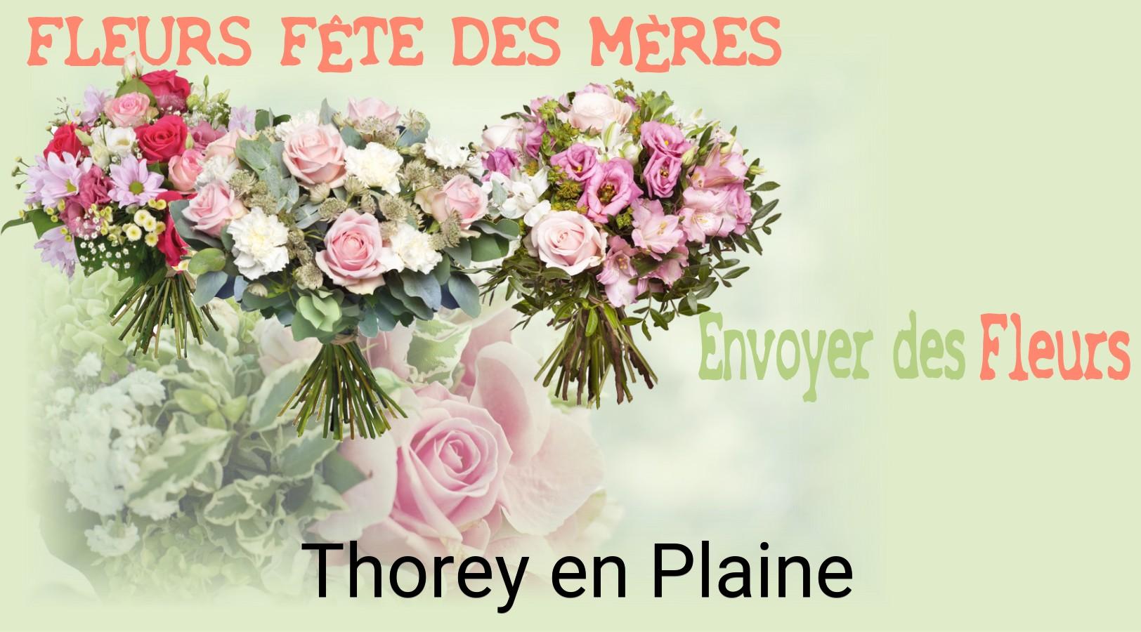 Bouquet de Fête des Mères livré à Thorey-en-Plaine